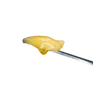 Donny Burger Live Hash Rosin