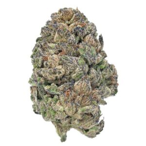 Bulk Exotic Flower