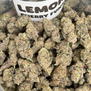 LEMON CHERRY FUNK  CANDY